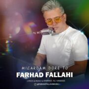 دانلود آهنگ جدید فرهاد فلاحی میگردم دور تو